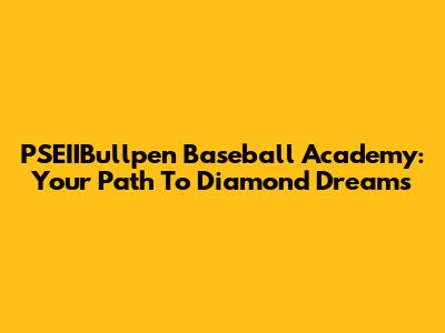 PSEIIBullpen Baseball Academy: Your Path To Diamond Dreams