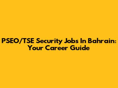 PSEO/TSE Security Jobs In Bahrain: Your Career Guide
