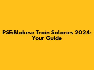 PSEiBlakese Train Salaries 2024: Your Guide