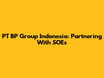 PT BP Group Indonesia: Partnering With SOEs