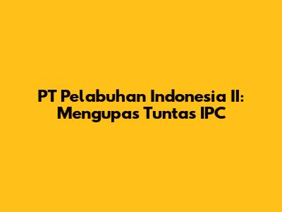 PT Pelabuhan Indonesia II: Mengupas Tuntas IPC