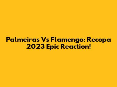 Palmeiras Vs Flamengo: Recopa 2023 Epic Reaction!