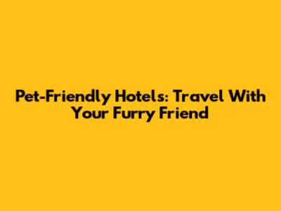 Pet-Friendly Hotels: Travel With Your Furry Friend