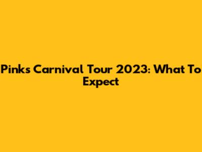 Pink's Carnival Tour 2023: What To Expect