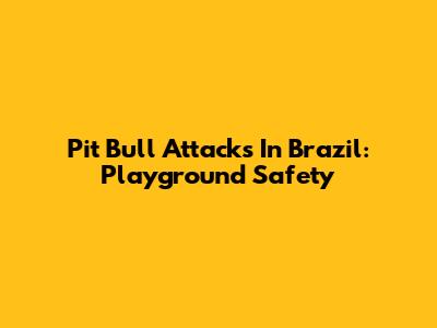 Pit Bull Attacks In Brazil: Playground Safety