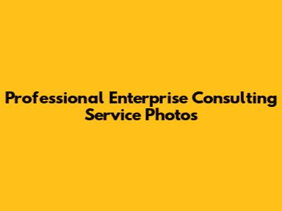 Professional Enterprise Consulting Service Photos
