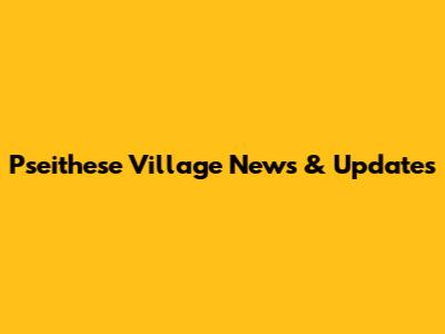 Pseithese Village News & Updates