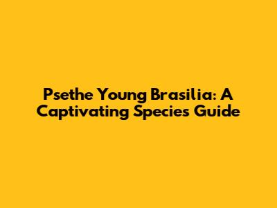 Psethe Young Brasilia: A Captivating Species Guide