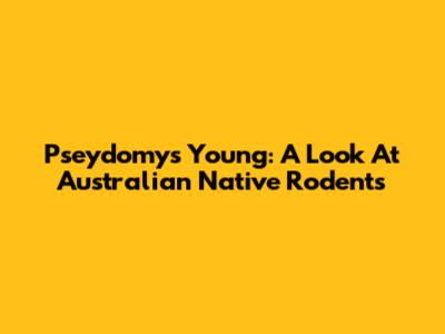 Pseydomys Young: A Look At Australian Native Rodents