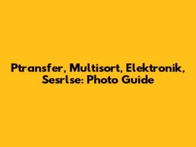 Ptransfer, Multisort, Elektronik, Sesrlse: Photo Guide