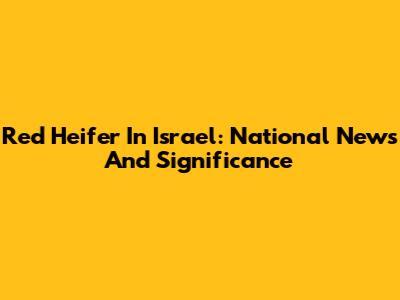 Red Heifer In Israel: National News And Significance