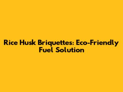 Rice Husk Briquettes: Eco-Friendly Fuel Solution