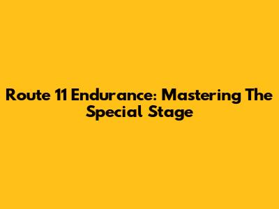 Route 11 Endurance: Mastering The Special Stage