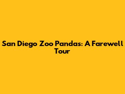 San Diego Zoo Pandas: A Farewell Tour