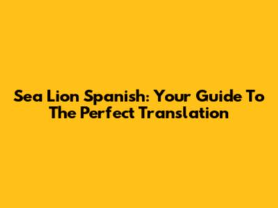 Sea Lion Spanish: Your Guide To The Perfect Translation