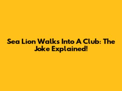 Sea Lion Walks Into A Club: The Joke Explained!