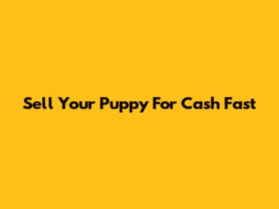 Sell Your Puppy For Cash Fast