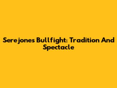 Serejones Bullfight: Tradition And Spectacle