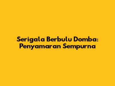 Serigala Berbulu Domba: Penyamaran Sempurna