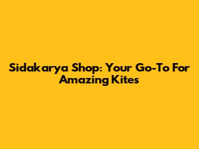 Sidakarya Shop: Your Go-To For Amazing Kites