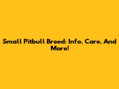 Small Pitbull Breed: Info, Care, And More!