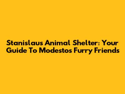 Stanislaus Animal Shelter: Your Guide To Modesto's Furry Friends