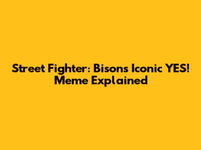Street Fighter: Bison's Iconic "YES!" Meme Explained