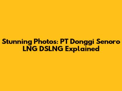 Stunning Photos: PT Donggi Senoro LNG DSLNG Explained