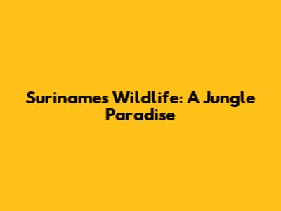 Suriname's Wildlife: A Jungle Paradise