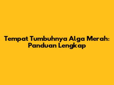 Tempat Tumbuhnya Alga Merah: Panduan Lengkap