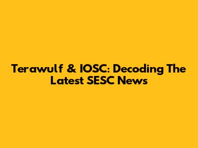 Terawulf & IOSC: Decoding The Latest SESC News
