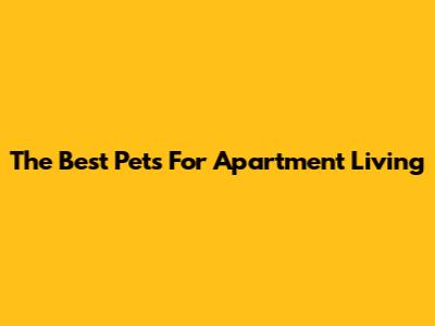 The Best Pets For Apartment Living