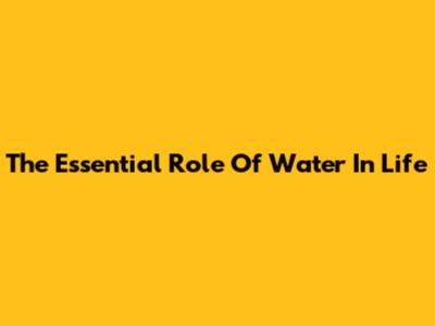 The Essential Role Of Water In Life