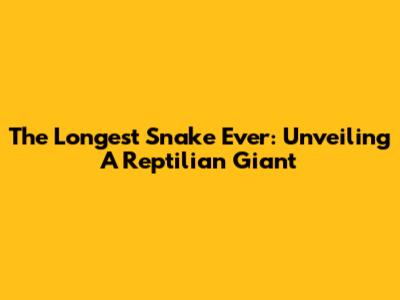 The Longest Snake Ever: Unveiling A Reptilian Giant