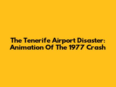 The Tenerife Airport Disaster: Animation Of The 1977 Crash