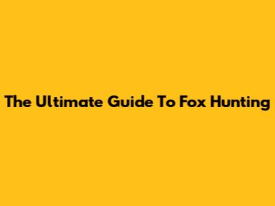The Ultimate Guide To Fox Hunting