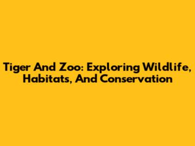 Tiger And Zoo: Exploring Wildlife, Habitats, And Conservation