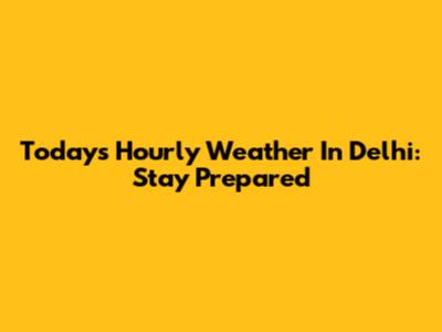 Today's Hourly Weather In Delhi: Stay Prepared