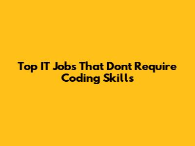Top IT Jobs That Don't Require Coding Skills
