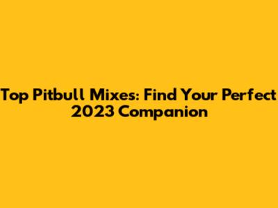 Top Pitbull Mixes: Find Your Perfect 2023 Companion