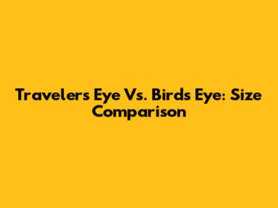 Traveler's Eye Vs. Bird's Eye: Size Comparison