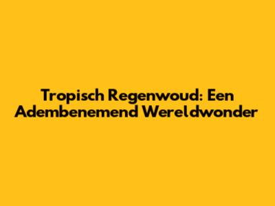 Tropisch Regenwoud: Een Adembenemend Wereldwonder