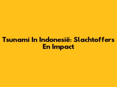 Tsunami In Indonesië: Slachtoffers En Impact