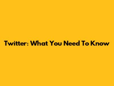 Twitter: What You Need To Know