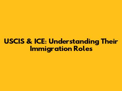 USCIS & ICE: Understanding Their Immigration Roles