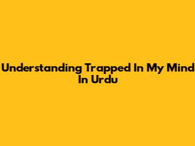 Understanding 'Trapped In My Mind' In Urdu