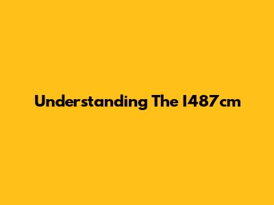 Understanding The I487cm