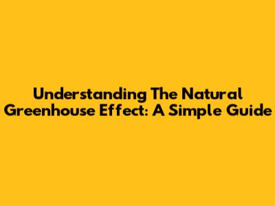 Understanding The Natural Greenhouse Effect: A Simple Guide