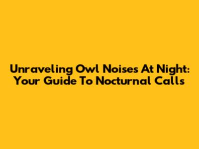 Unraveling Owl Noises At Night: Your Guide To Nocturnal Calls