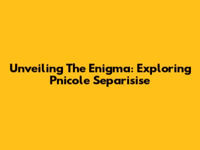 Unveiling The Enigma: Exploring Pnicole Separisise
